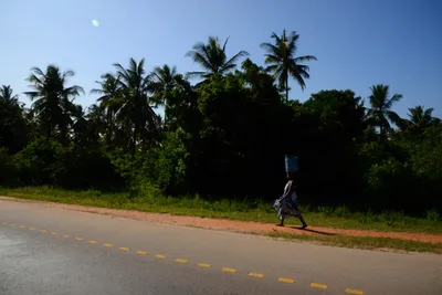 DSC_8294 (Large).JPG